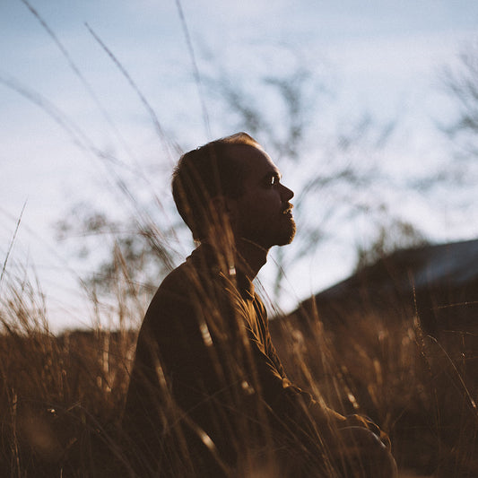 What happens to your brain when you meditate