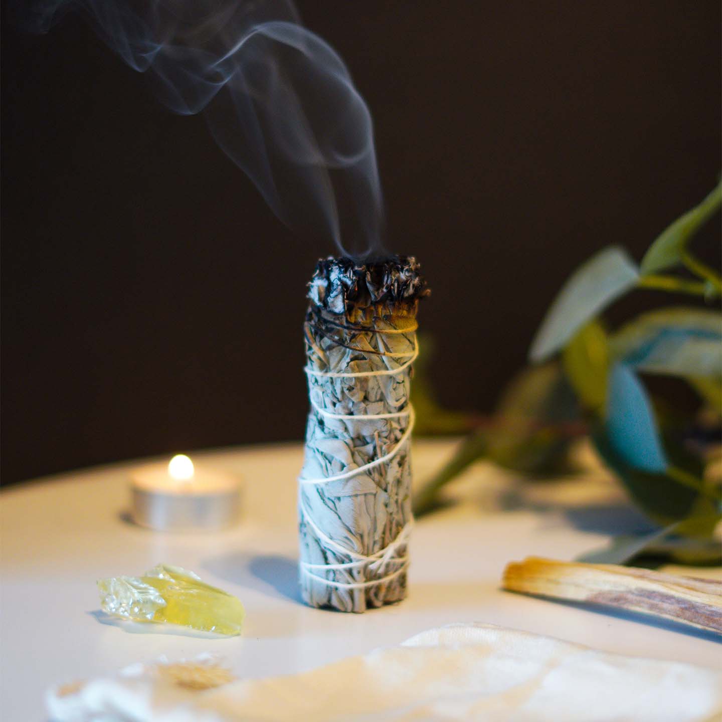 Shudi - Sage, Palo Santo & Crystal Set