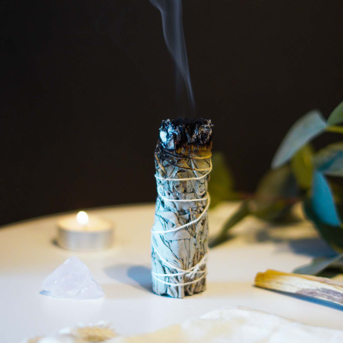 Shudi - Sage, Palo Santo & Crystal Set